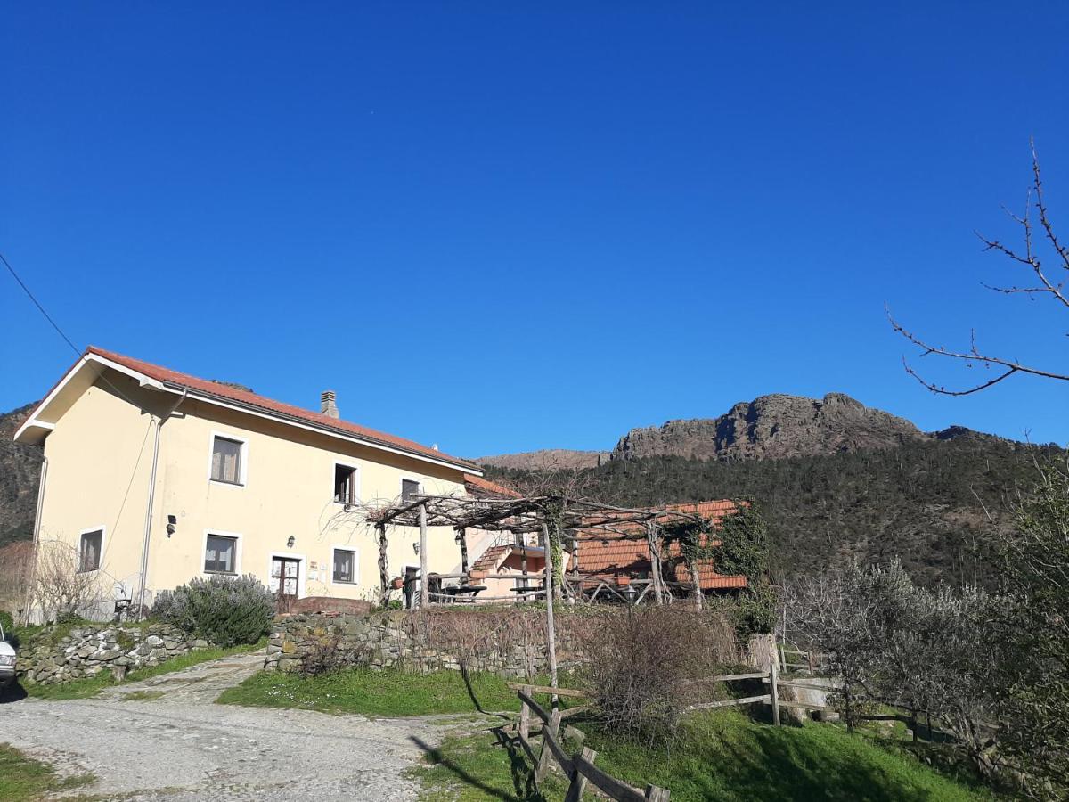 Agriturismo Grilla Mele Exterior foto