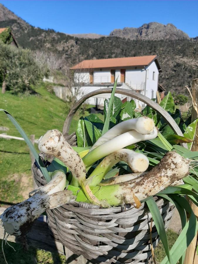 Agriturismo Grilla Mele Exterior foto